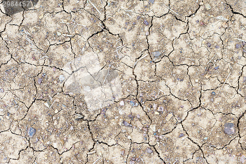 Image of Parched ground