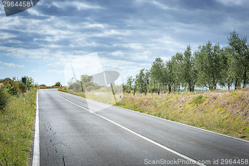 Image of Road landscape Tuscany