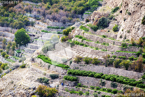 Image of Oman Saiq Plateau