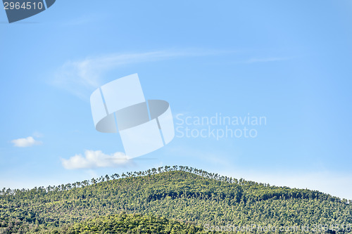 Image of Landscape near Montemassi