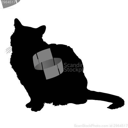 Image of cat silhouette 2