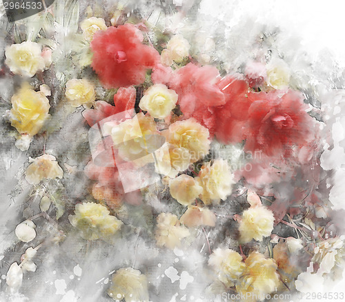 Image of Watercolor Image Of Begonia Flowers