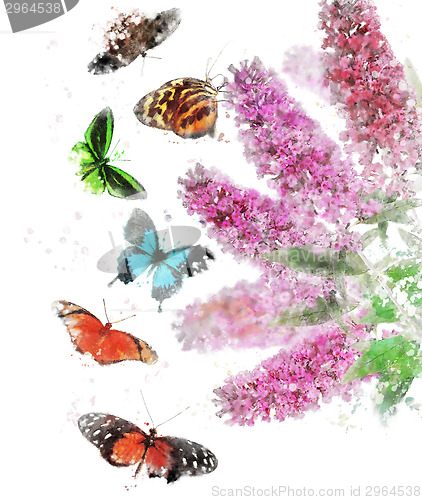 Image of Watercolor Image Of Butterfly Bush