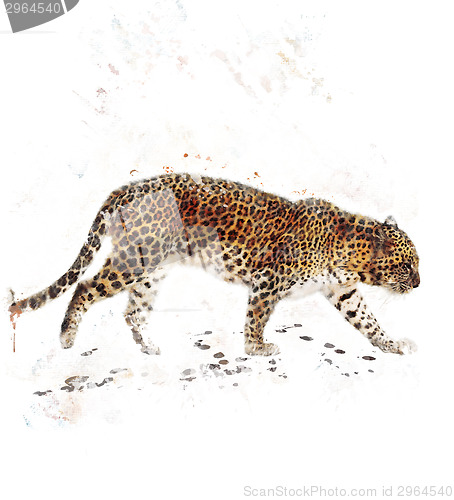 Image of Watercolor Image Of Leopard