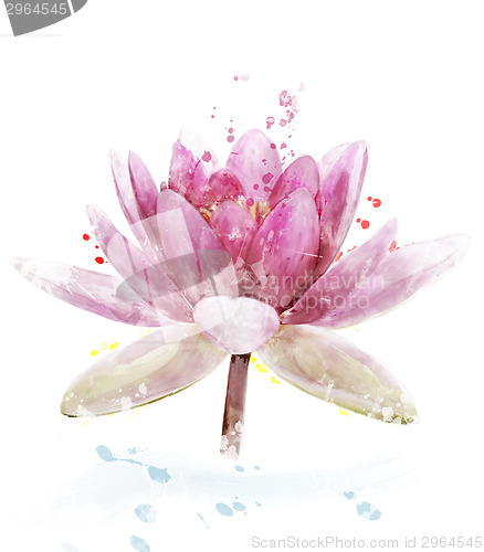 Image of Watercolor Image Of Pink Waterlily Flower