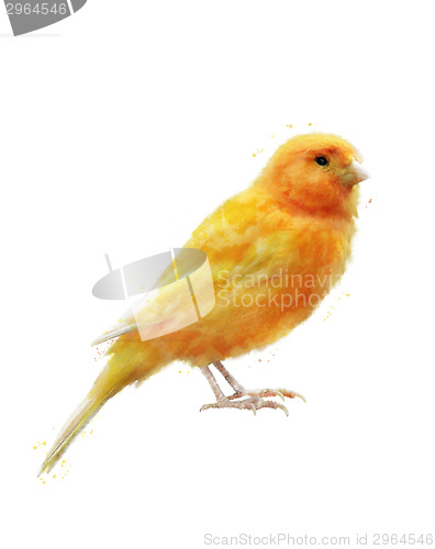 Image of Watercolor Image Of Yellow Bird