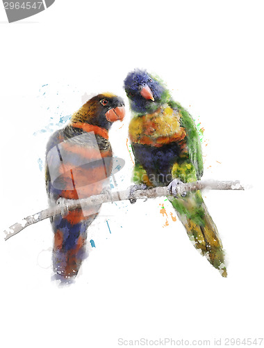 Image of Watercolor Image Of Colorful Parrots