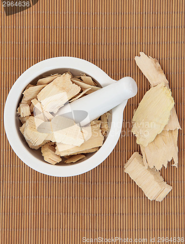 Image of Quassia Bark Herb