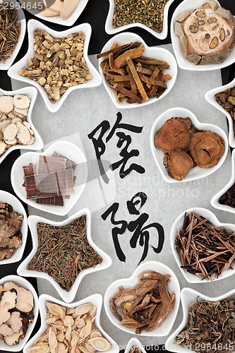 Image of Yin and Yang Herbs