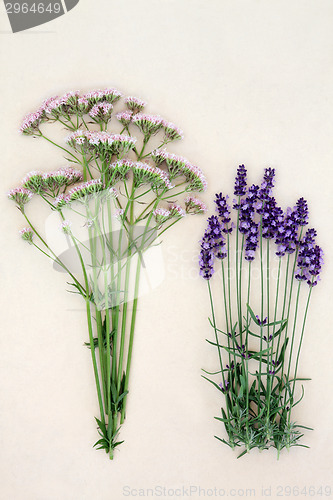 Image of Calming Herbs