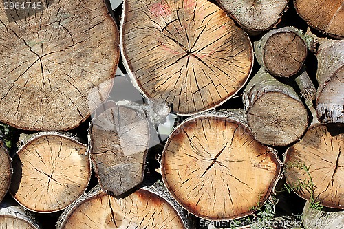 Image of Firewood Stack