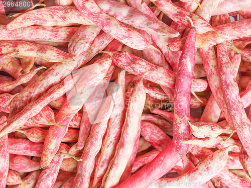 Image of Cranberry beans