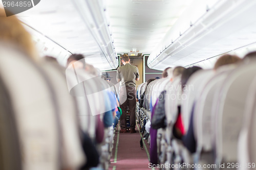 Image of Steward on the airplane.