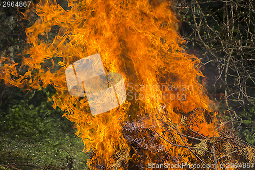 Image of Burning fire flame 