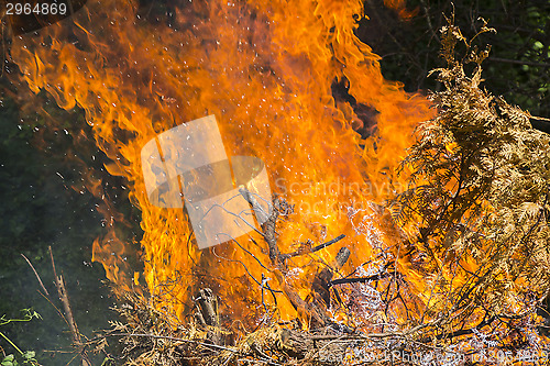 Image of Burning fire flame 