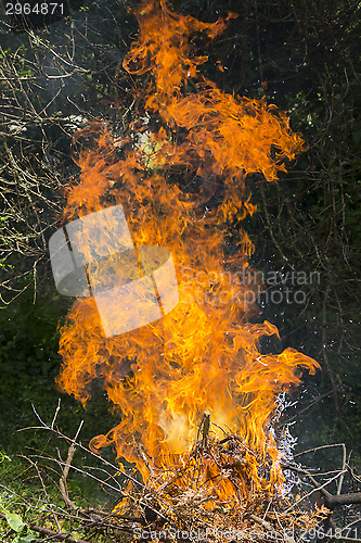 Image of Burning fire flame 