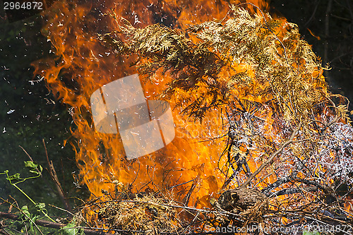 Image of Burning fire flame