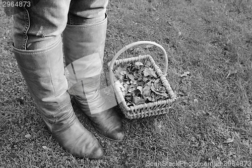 Image of Woman wearing boots standing with a basket of fall leaves