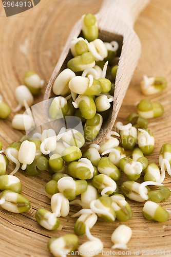 Image of Sprouted mung beans