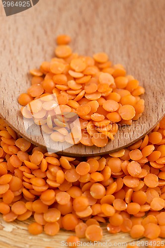 Image of Dry Organic Red Lentils