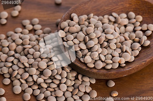 Image of Dry Organic Brown Lentils