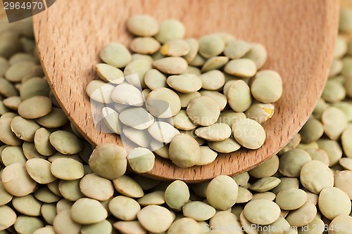 Image of Dry Organic Green Lentils