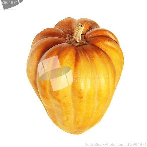 Image of Fresh orange pumpkin