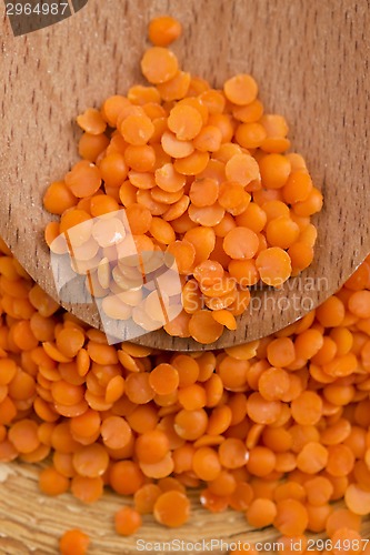 Image of Dry Organic Red Lentils