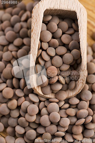 Image of Dry Organic Brown Lentils