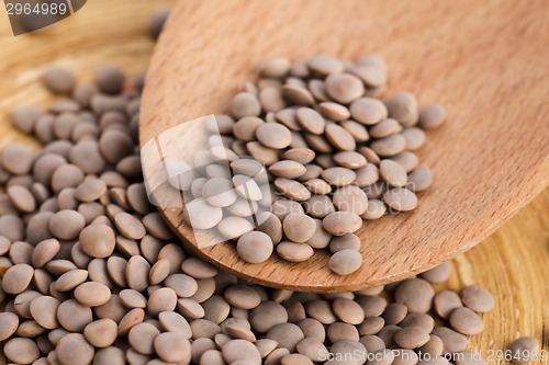 Image of Dry Organic Brown Lentils