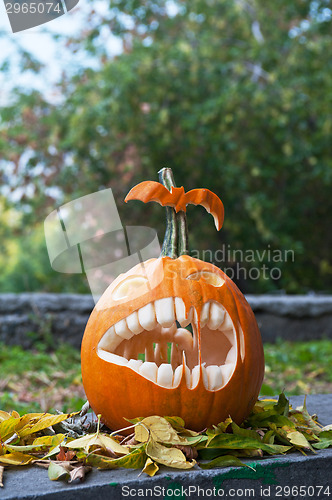 Image of Halloween pumpkin