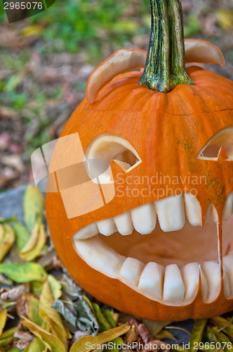 Image of Halloween pumpkin