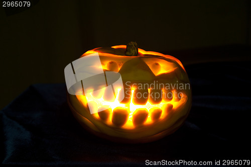 Image of Halloween pumpkin