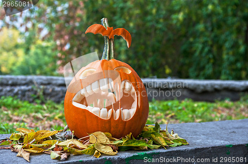 Image of Halloween pumpkin