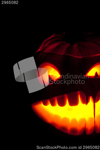 Image of Halloween pumpkin