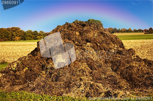 Image of dung hill with rainbow