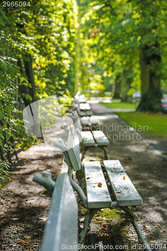 Image of row of park benches