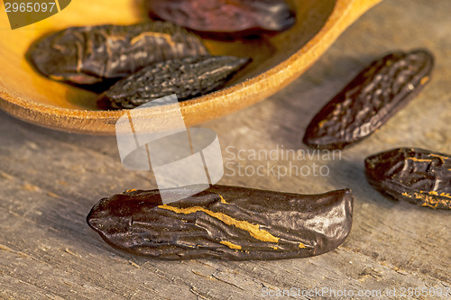 Image of  tonka beans