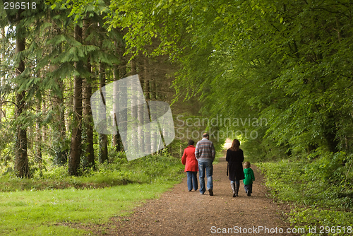 Image of Forest Walk