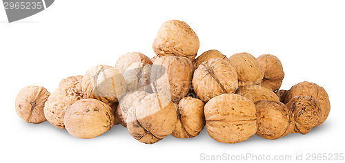 Image of Many Walnut Piled Up