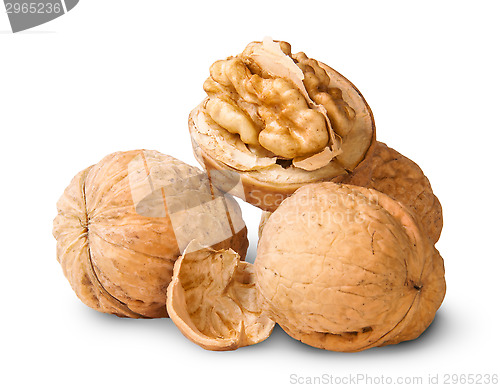 Image of Small Pile Of Walnuts And Shells