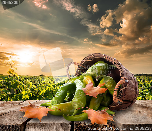 Image of Pepper on table