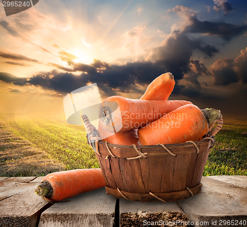 Image of Carrot and landscape