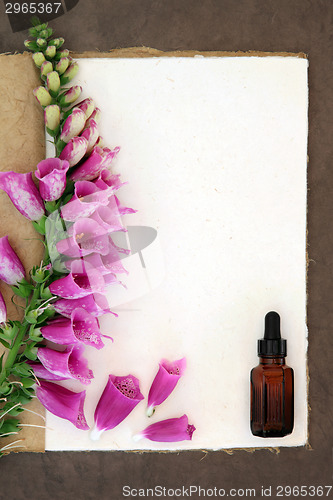 Image of Foxglove Herbal Medicine