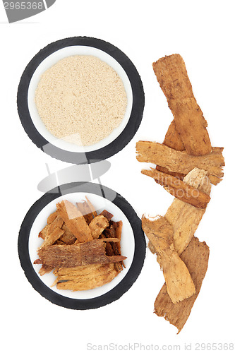 Image of Astragalus Herb