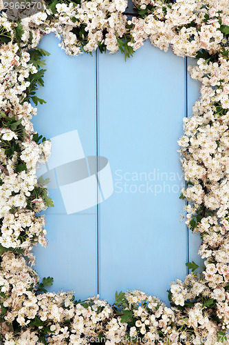 Image of Spring Blossom Border
