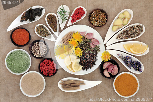 Image of Immune Boosting Foods