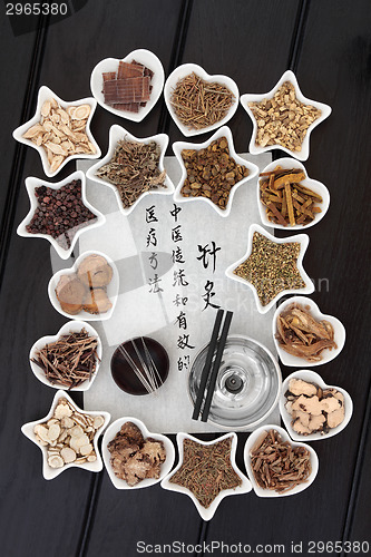 Image of Chinese Acupuncture Medicine