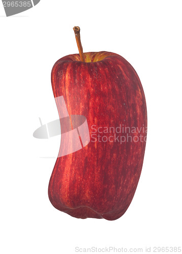 Image of Bend apple