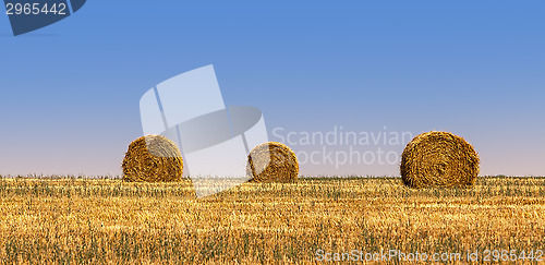 Image of Hay Bales